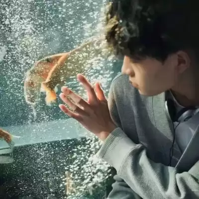 向琨瑶